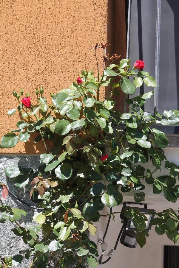 Beb Da Gaia E Giulio Bed & Breakfast Reno Di Leggiuno Dış mekan fotoğraf